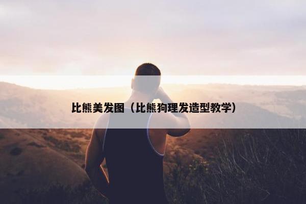 比熊美发图（比熊狗理发造型教学）