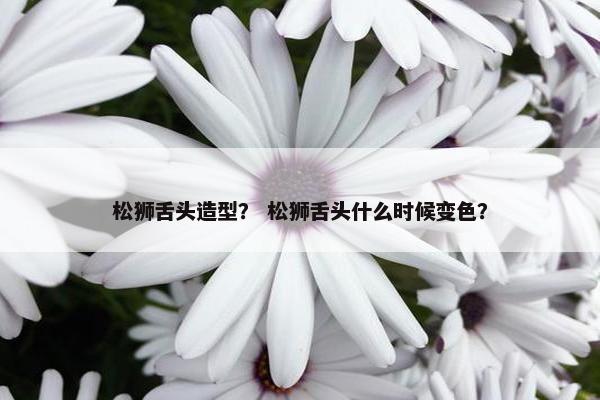 松狮舌头造型？ 松狮舌头什么时候变色？