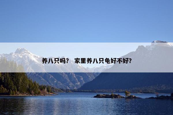 养八只吗？ 家里养八只龟好不好？
