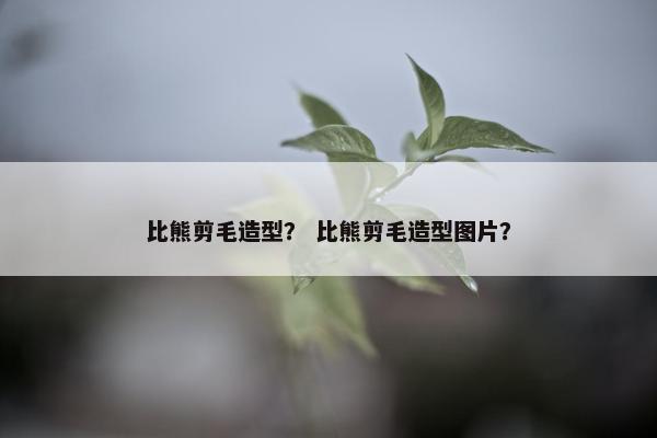 比熊剪毛造型？ 比熊剪毛造型图片？