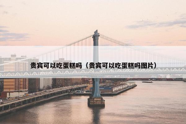 贵宾可以吃蛋糕吗（贵宾可以吃蛋糕吗图片）