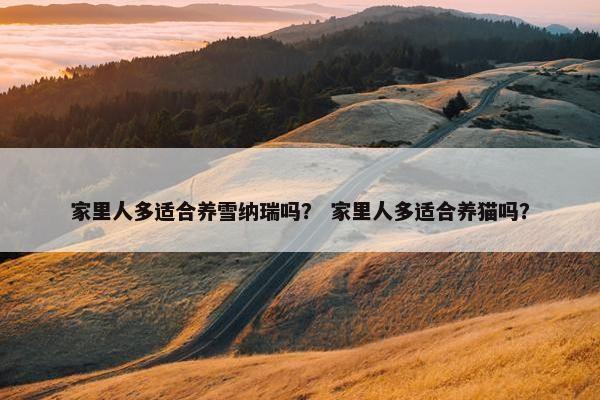 家里人多适合养雪纳瑞吗？ 家里人多适合养猫吗？