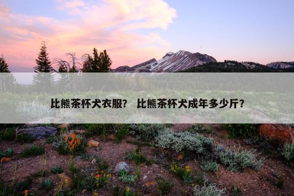 比熊茶杯犬衣服？ 比熊茶杯犬成年多少斤？