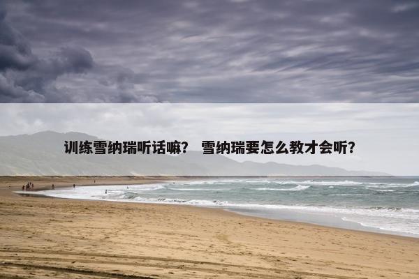 训练雪纳瑞听话嘛？ 雪纳瑞要怎么教才会听？