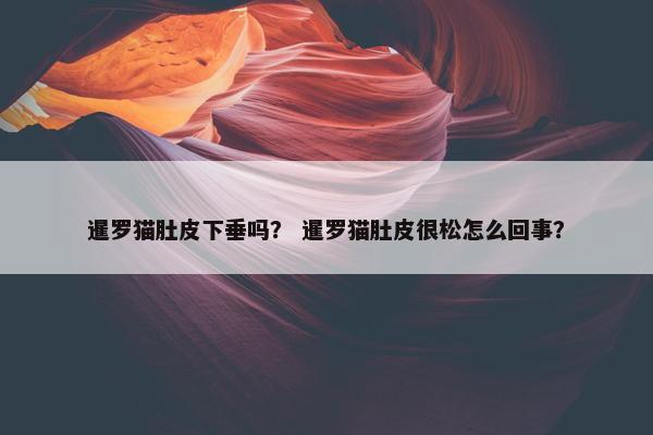 暹罗猫肚皮下垂吗？ 暹罗猫肚皮很松怎么回事？
