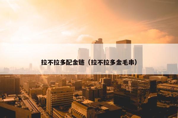 拉不拉多配金链（拉不拉多金毛串）