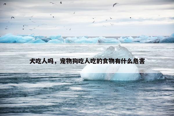 犬吃人吗，宠物狗吃人吃的食物有什么危害