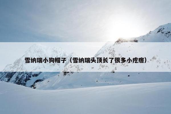 雪纳瑞小狗帽子（雪纳瑞头顶长了很多小疙瘩）