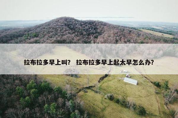 拉布拉多早上叫？ 拉布拉多早上起太早怎么办？