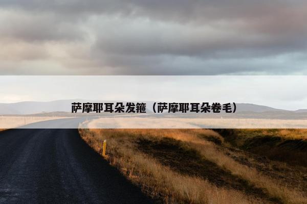 萨摩耶耳朵发箍（萨摩耶耳朵卷毛）