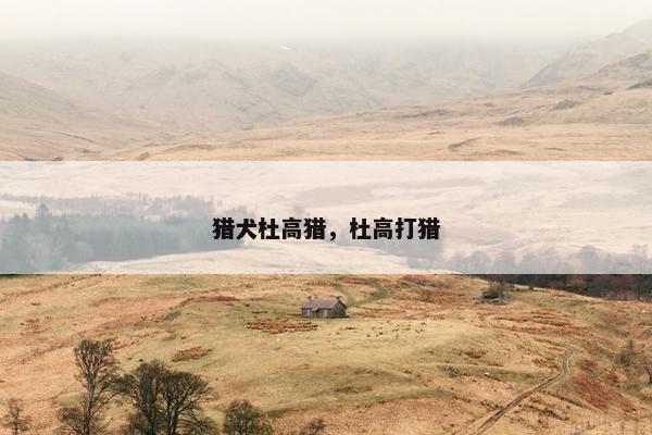 猎犬杜高猎，杜高打猎