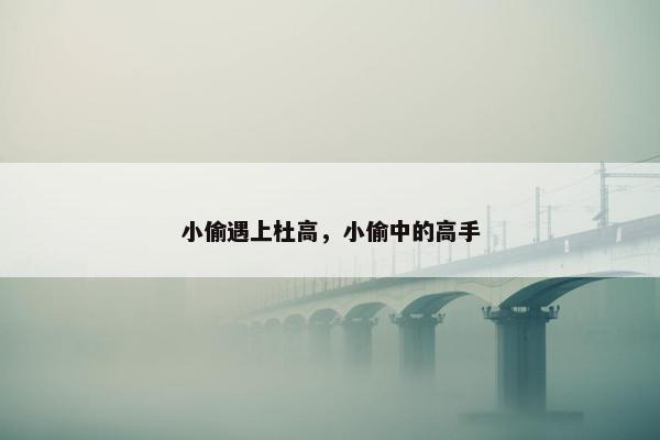 小偷遇上杜高，小偷中的高手