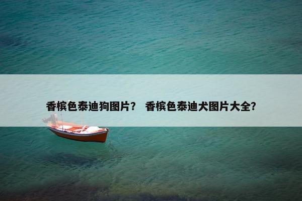 香槟色泰迪狗图片？ 香槟色泰迪犬图片大全？