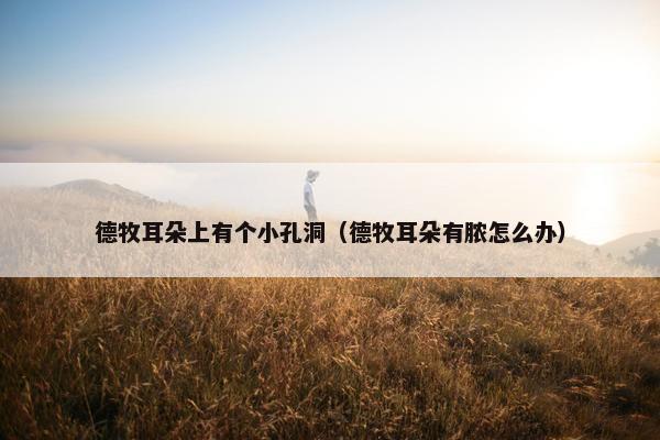 德牧耳朵上有个小孔洞（德牧耳朵有脓怎么办）