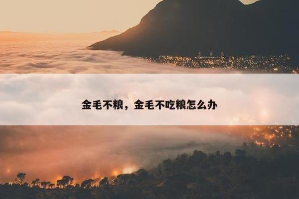 金毛不粮，金毛不吃粮怎么办