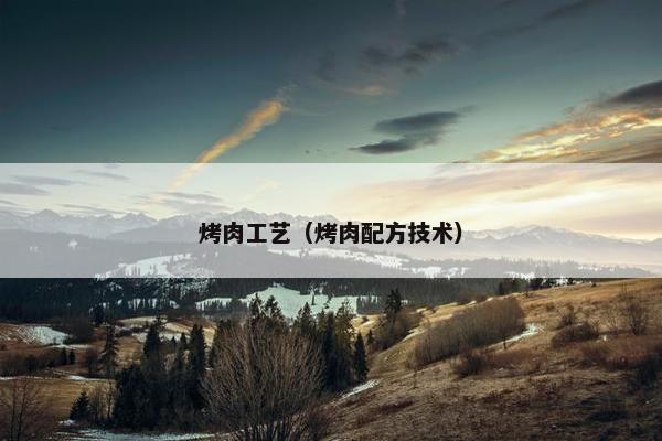 烤肉工艺（烤肉配方技术）
