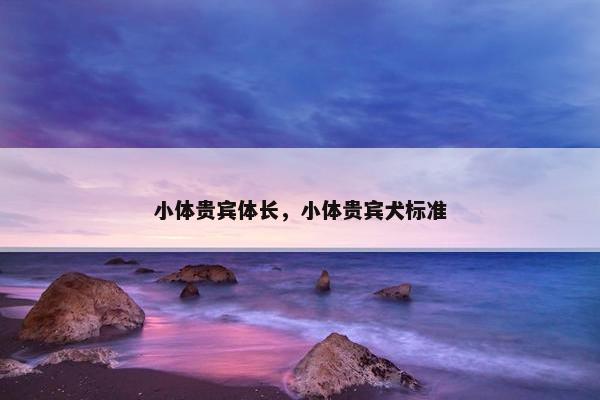 小体贵宾体长，小体贵宾犬标准