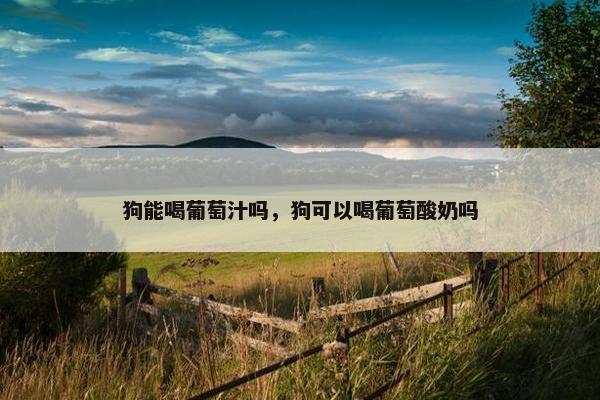 狗能喝葡萄汁吗，狗可以喝葡萄酸奶吗