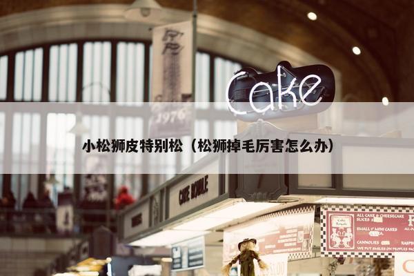 小松狮皮特别松（松狮掉毛厉害怎么办）