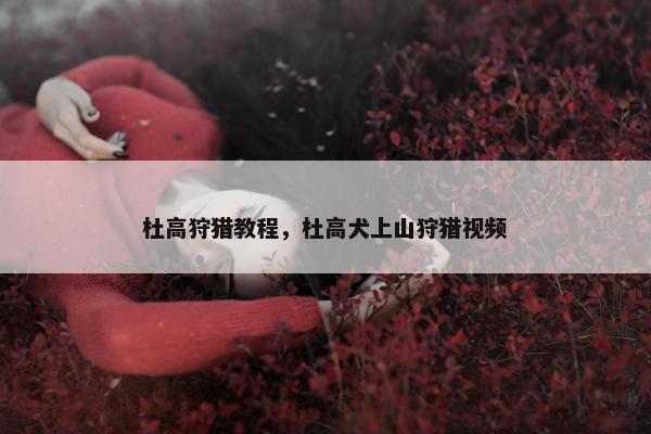 杜高狩猎教程，杜高犬上山狩猎视频