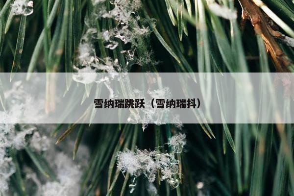 雪纳瑞跳跃（雪纳瑞抖）