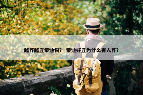 越养越丑泰迪狗？ 泰迪好丑为什么有人养？