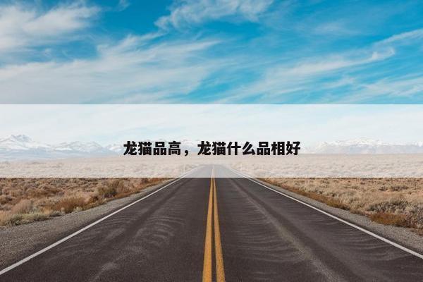 龙猫品高，龙猫什么品相好