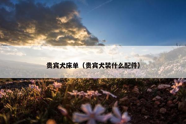 贵宾犬床单（贵宾犬装什么配件）