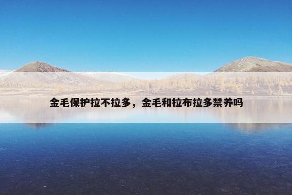 金毛保护拉不拉多，金毛和拉布拉多禁养吗