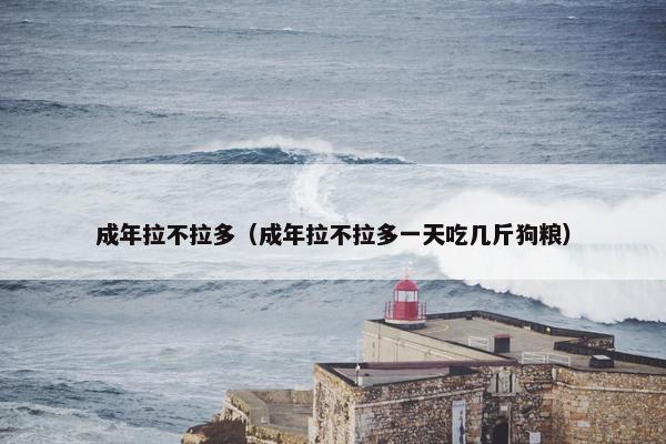 成年拉不拉多（成年拉不拉多一天吃几斤狗粮）