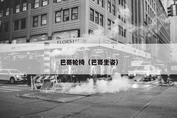 巴哥轮椅（巴哥坐姿）