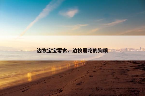 边牧宝宝零食，边牧爱吃的狗粮