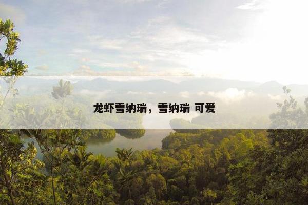 龙虾雪纳瑞，雪纳瑞 可爱