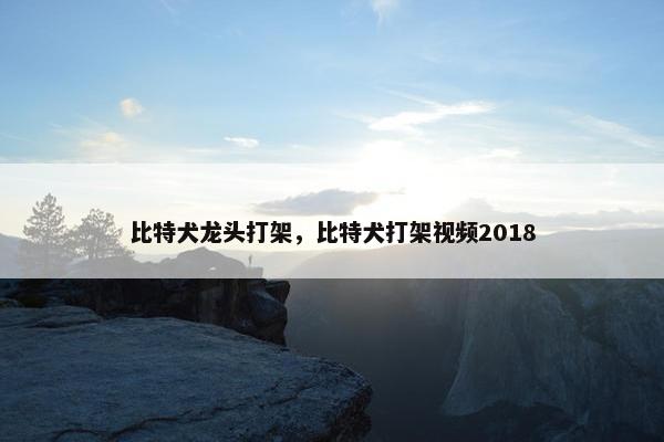 比特犬龙头打架，比特犬打架视频2018