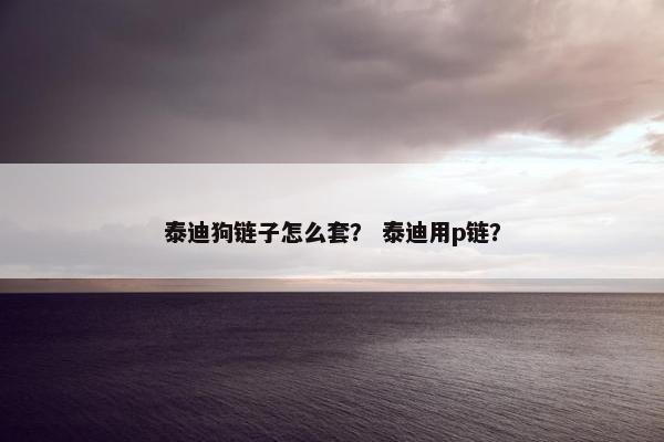 泰迪狗链子怎么套？ 泰迪用p链？