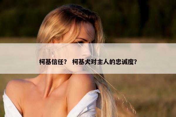 柯基信任？ 柯基犬对主人的忠诚度？