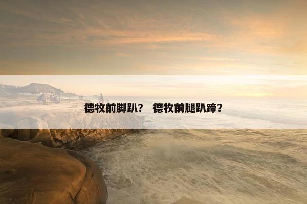 德牧前脚趴？ 德牧前腿趴蹄？