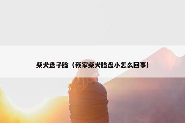 柴犬盘子脸（我家柴犬脸盘小怎么回事）