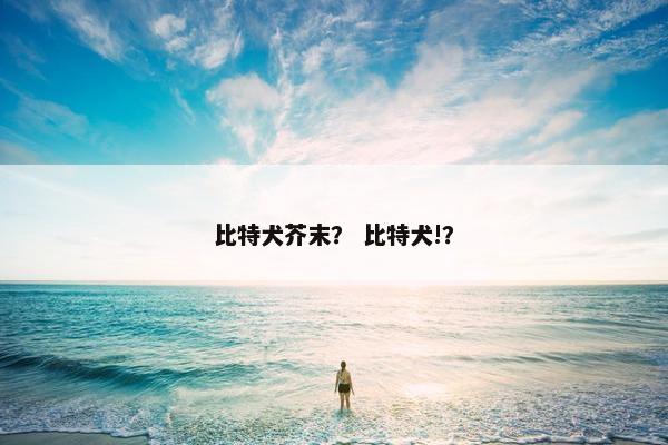 比特犬芥末？ 比特犬!？