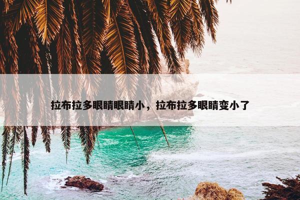 拉布拉多眼睛眼睛小，拉布拉多眼睛变小了