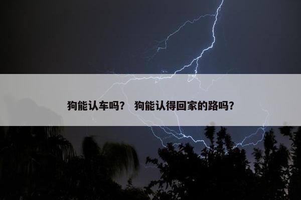 狗能认车吗？ 狗能认得回家的路吗？