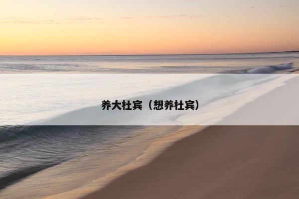 养大杜宾（想养杜宾）