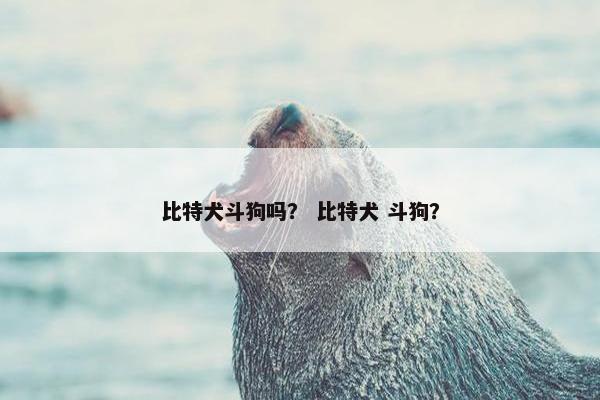 比特犬斗狗吗？ 比特犬 斗狗？