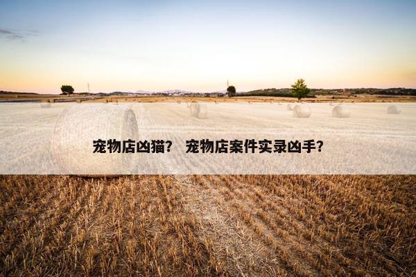 宠物店凶猫？ 宠物店案件实录凶手？