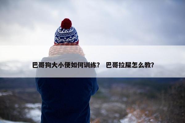 巴哥狗大小便如何训练？ 巴哥拉屎怎么教？