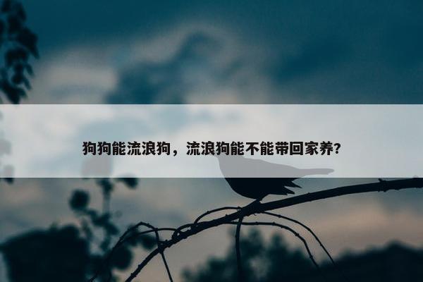 狗狗能流浪狗，流浪狗能不能带回家养?