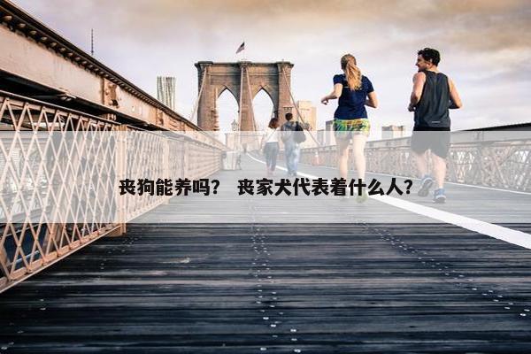 丧狗能养吗？ 丧家犬代表着什么人？