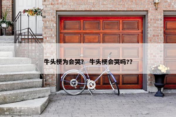 牛头梗为会哭？ 牛头梗会哭吗?？