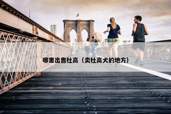 哪里出售杜高（卖杜高犬的地方）