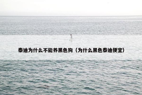 泰迪为什么不能养黑色狗（为什么黑色泰迪便宜）